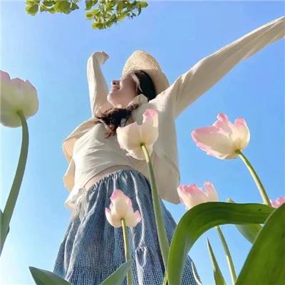 精灵高中:鬼魂高中